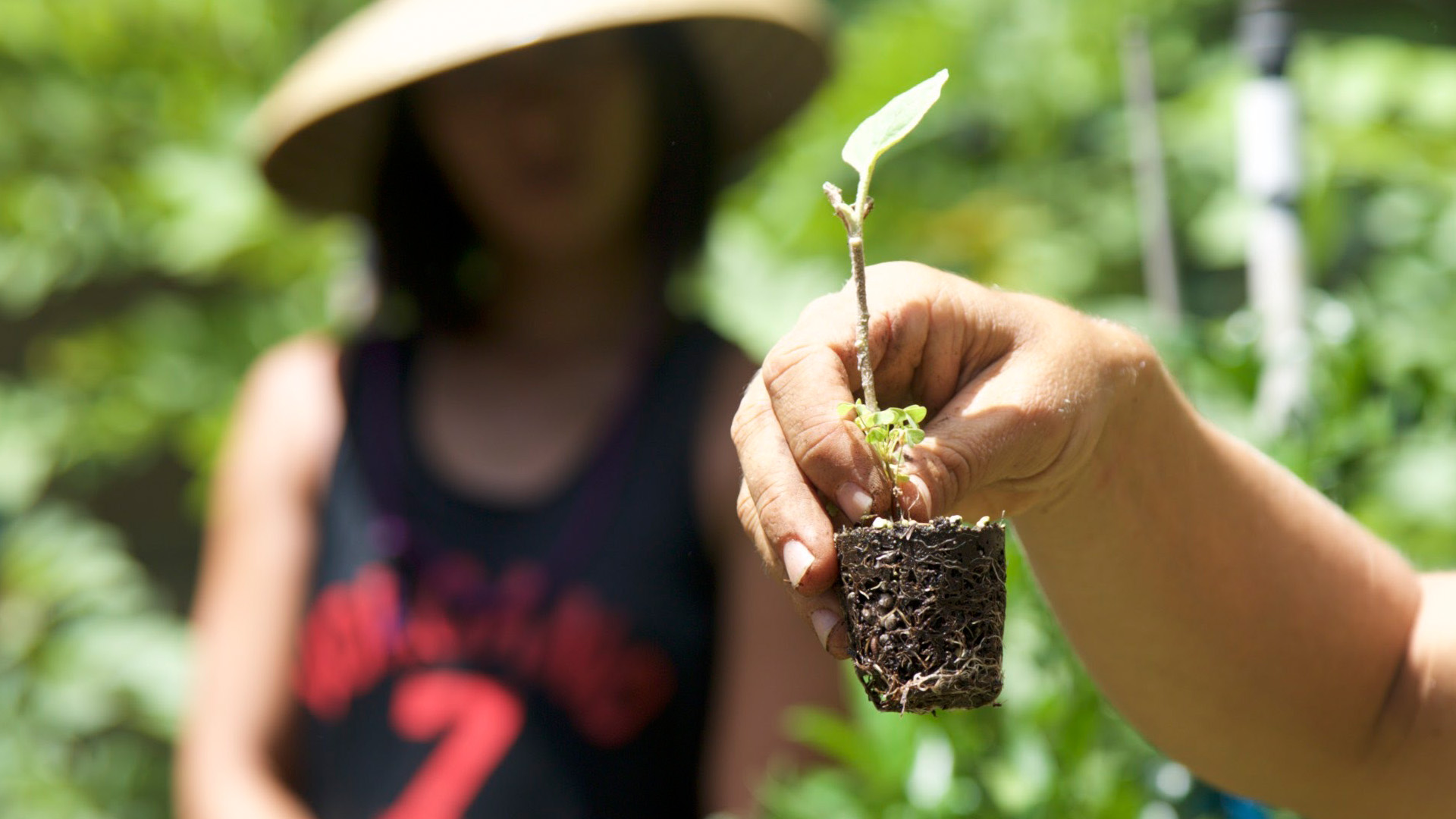 GoFarm Hawai’i 