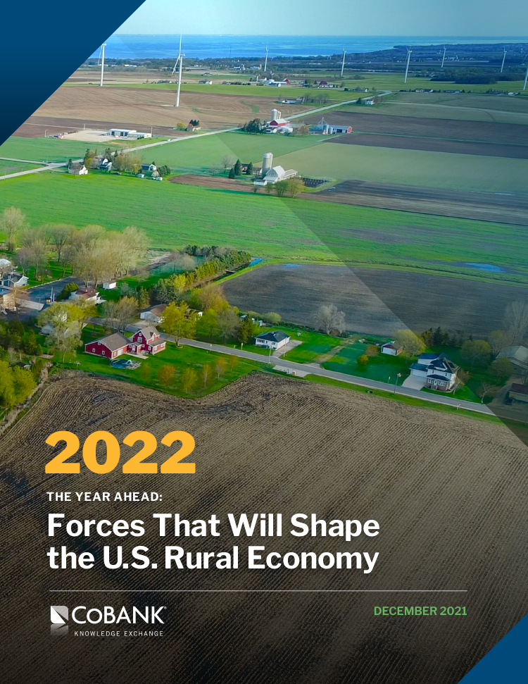 The Year Ahead: Forces That Will Shape the US Rural Economy in 2021