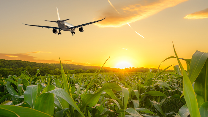 Jet over corn field